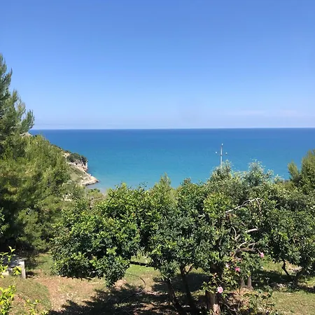 Bilo 2 Sul Mare * Peschici